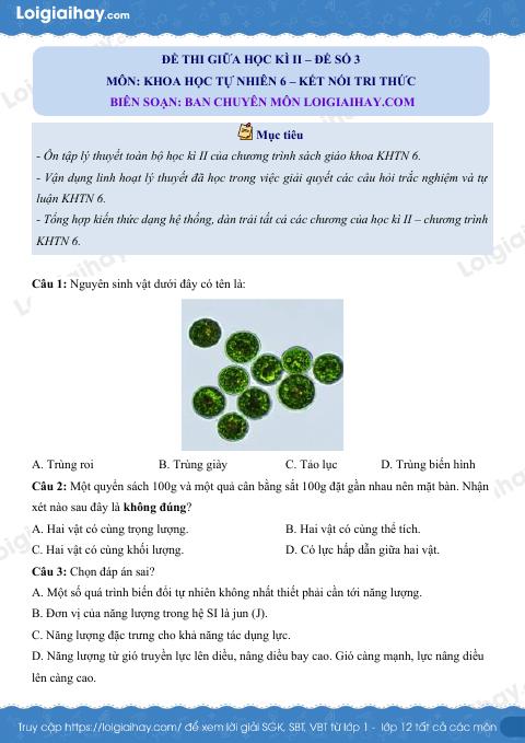 Đề thi giữa kì 2 KHTN 6 Kết nối tri thức - Đề số 3